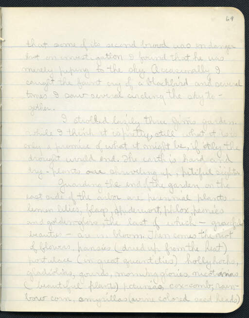 Volume 11, Page 69