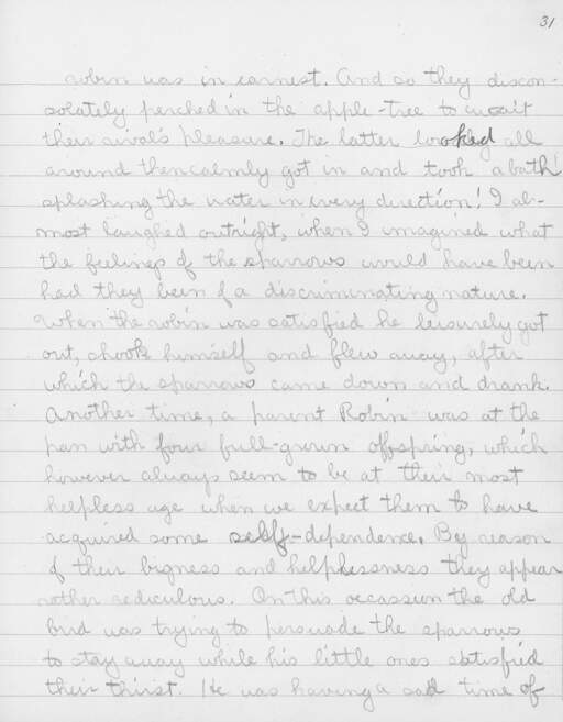 Volume XII, Page 31