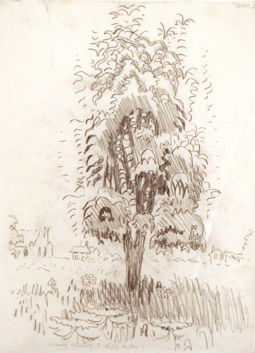 Tree and Queen Anne's Lace tracing