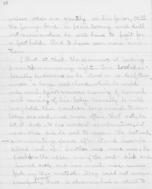 Volume XII, Page 28