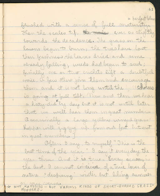 Volume 11, Page 65