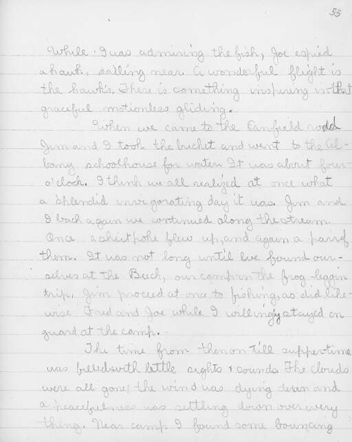 Volume XII, Page 55