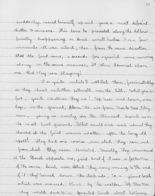 Volume 10, Page 23