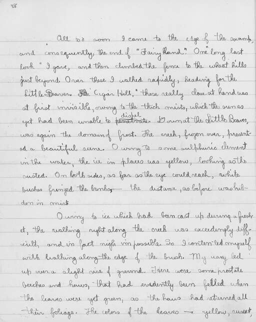 Volume 10, Page 28