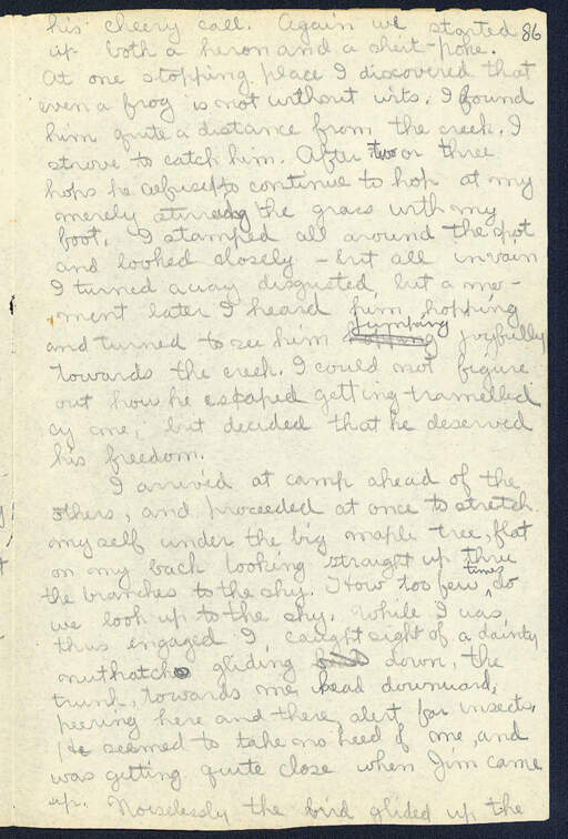 Volume 11, Page 86