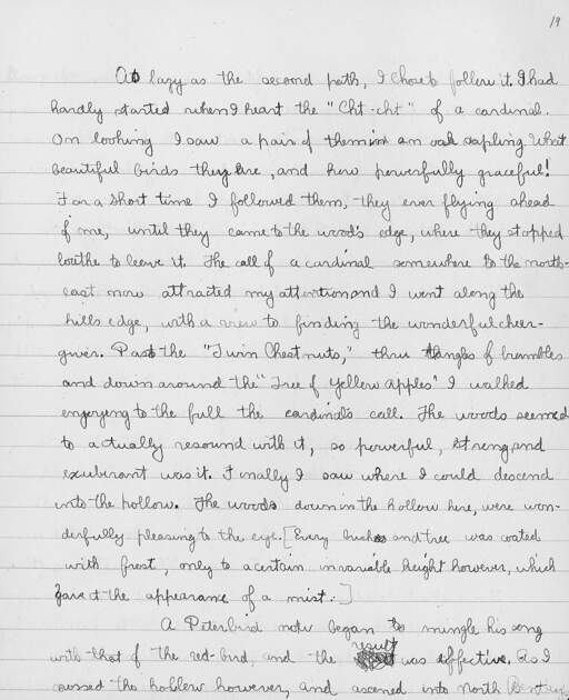 Volume 10, Page 19