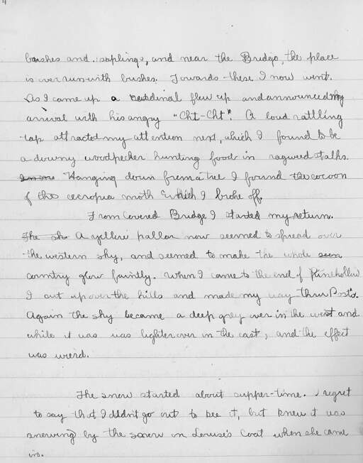 Volume 10, Page 4