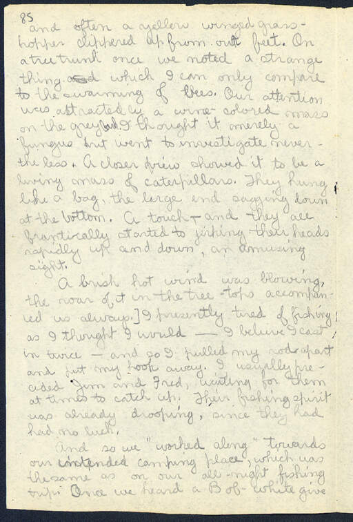 Volume 11, Page 85