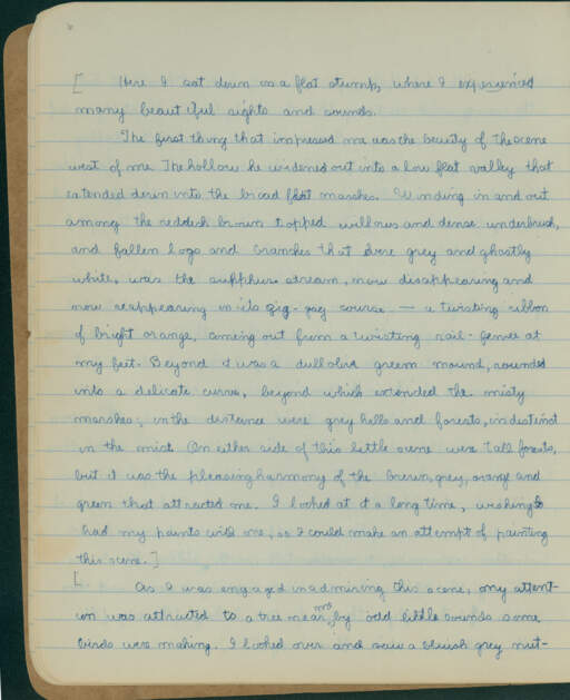 Volume VI. page 6