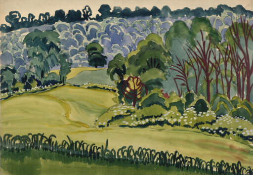 Marshy Meadows