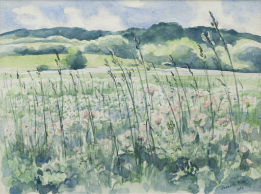 Field of Flowers