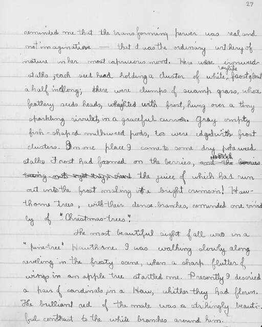 Volume 10, Page 27