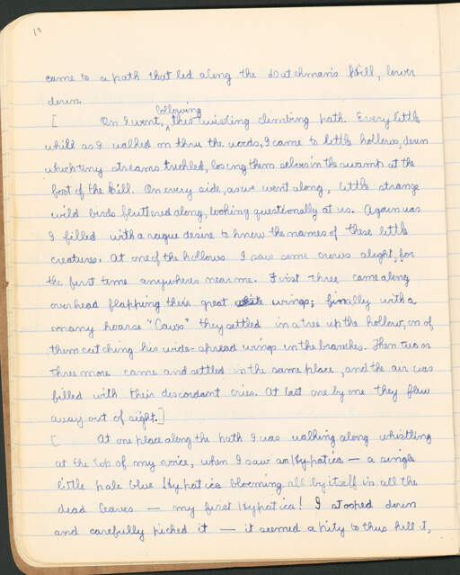 Volume VI. page 10
