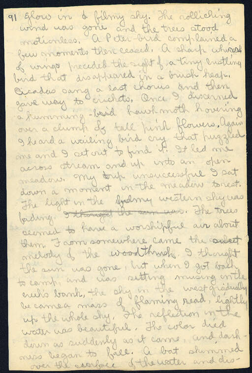 Volume 11, Page 91