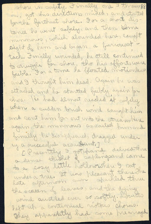Volume 11, Page 88