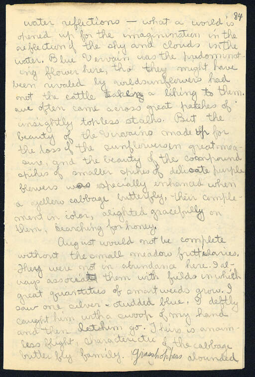 Volume 11, Page 84
