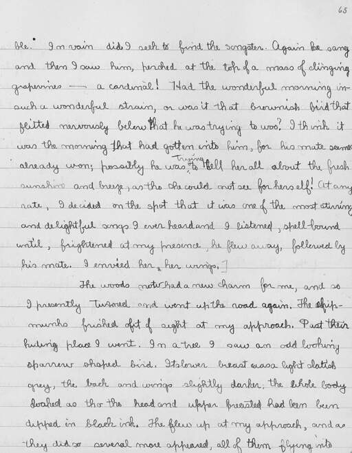 Volume 10, Page 65