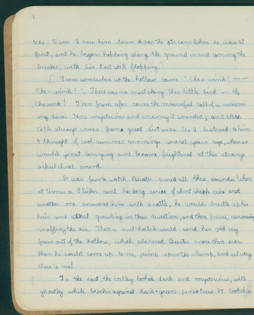 Volume VI. page 8