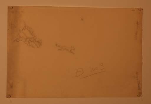 Tracings for the Hunt
