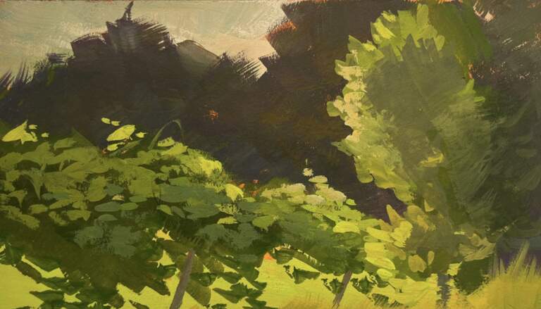 Drawing with Gouache