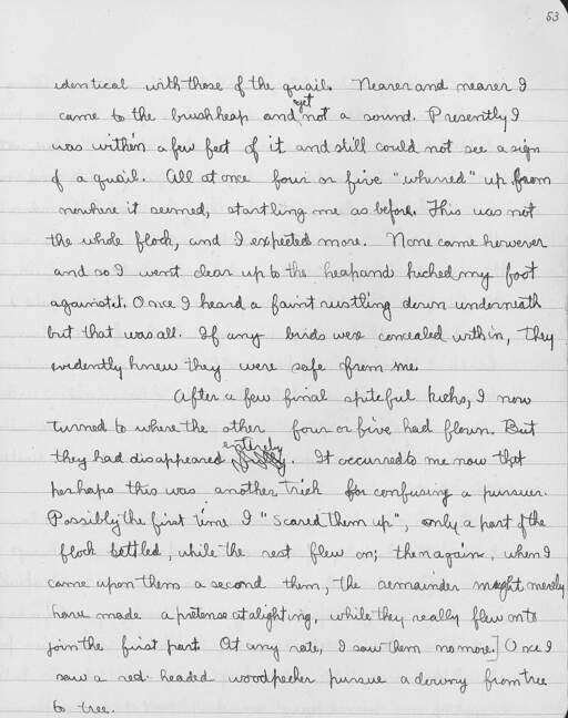 Volume 10, Page 53
