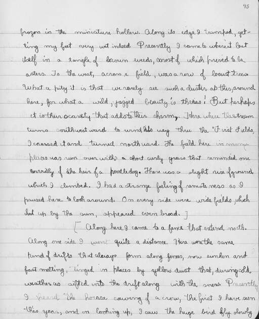 Volume 10, Page 45