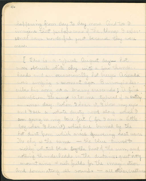 Volume 11, Page 46