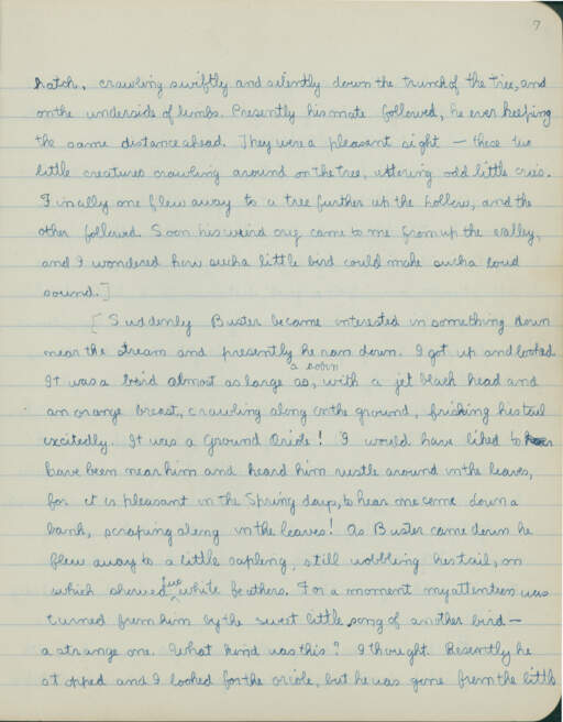 Volume VI, page 7