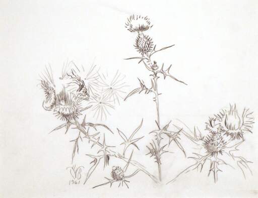 Thistles