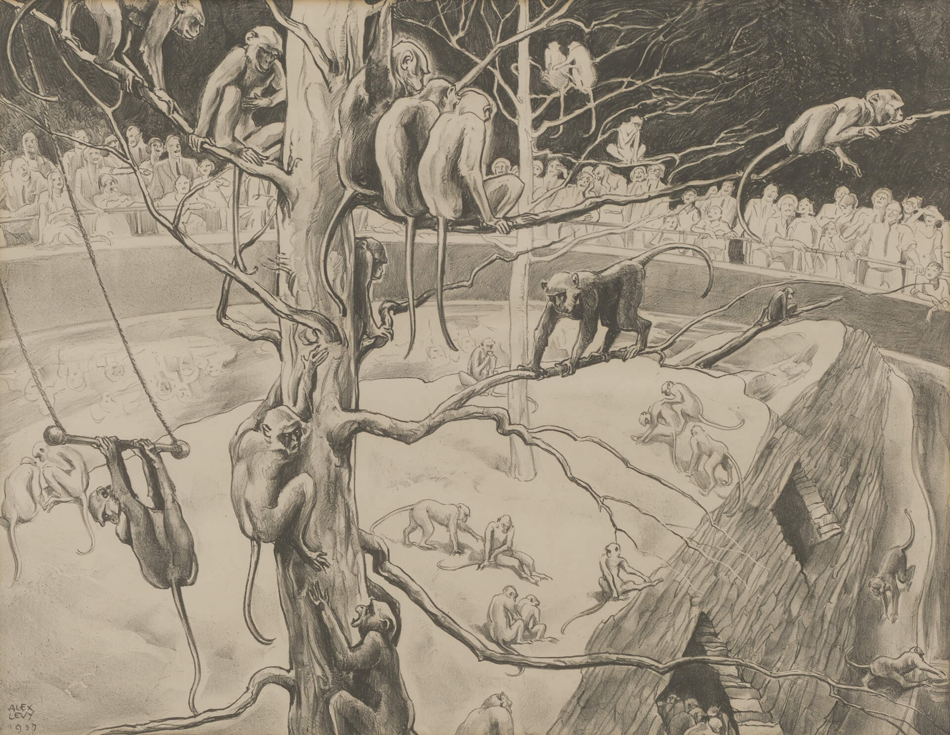 Beasts of Burden: Animals as Objects