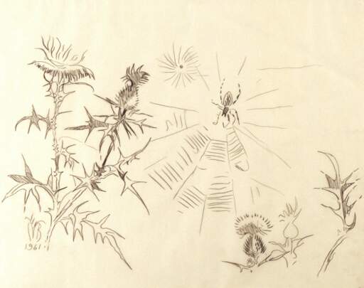 Thistle and Spiders