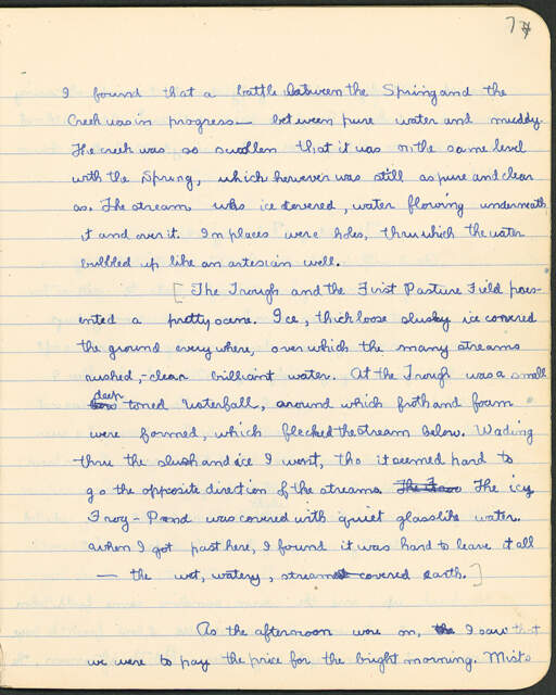 Volume 11, Page 7