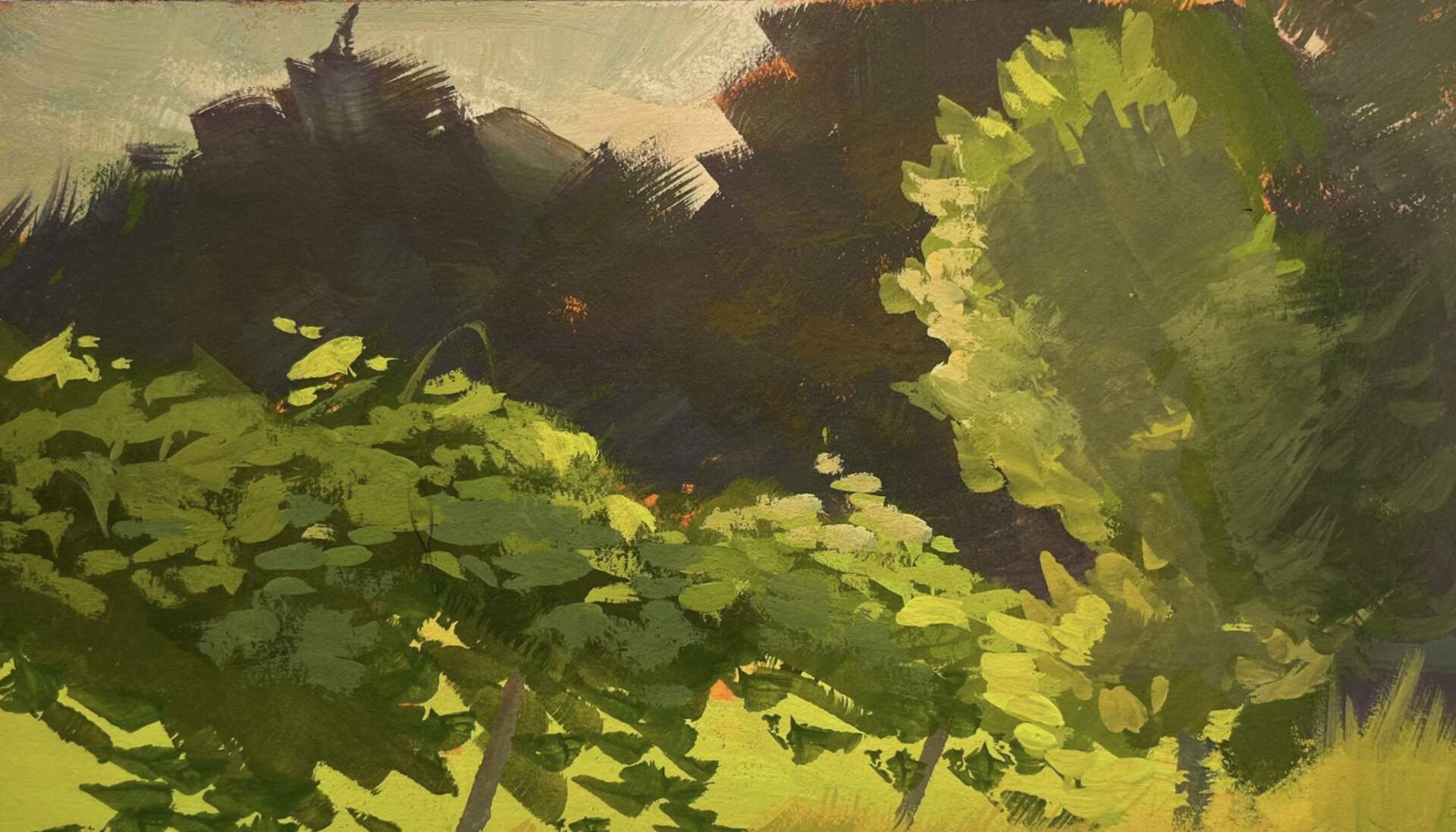 Drawing with Gouache
