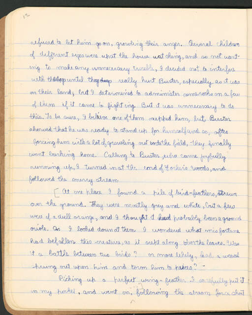 Volume VI. page 12