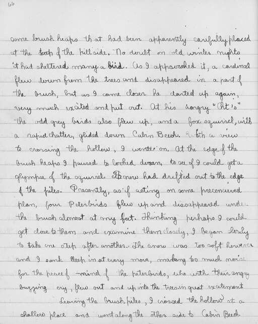 Volume 10, Page 66