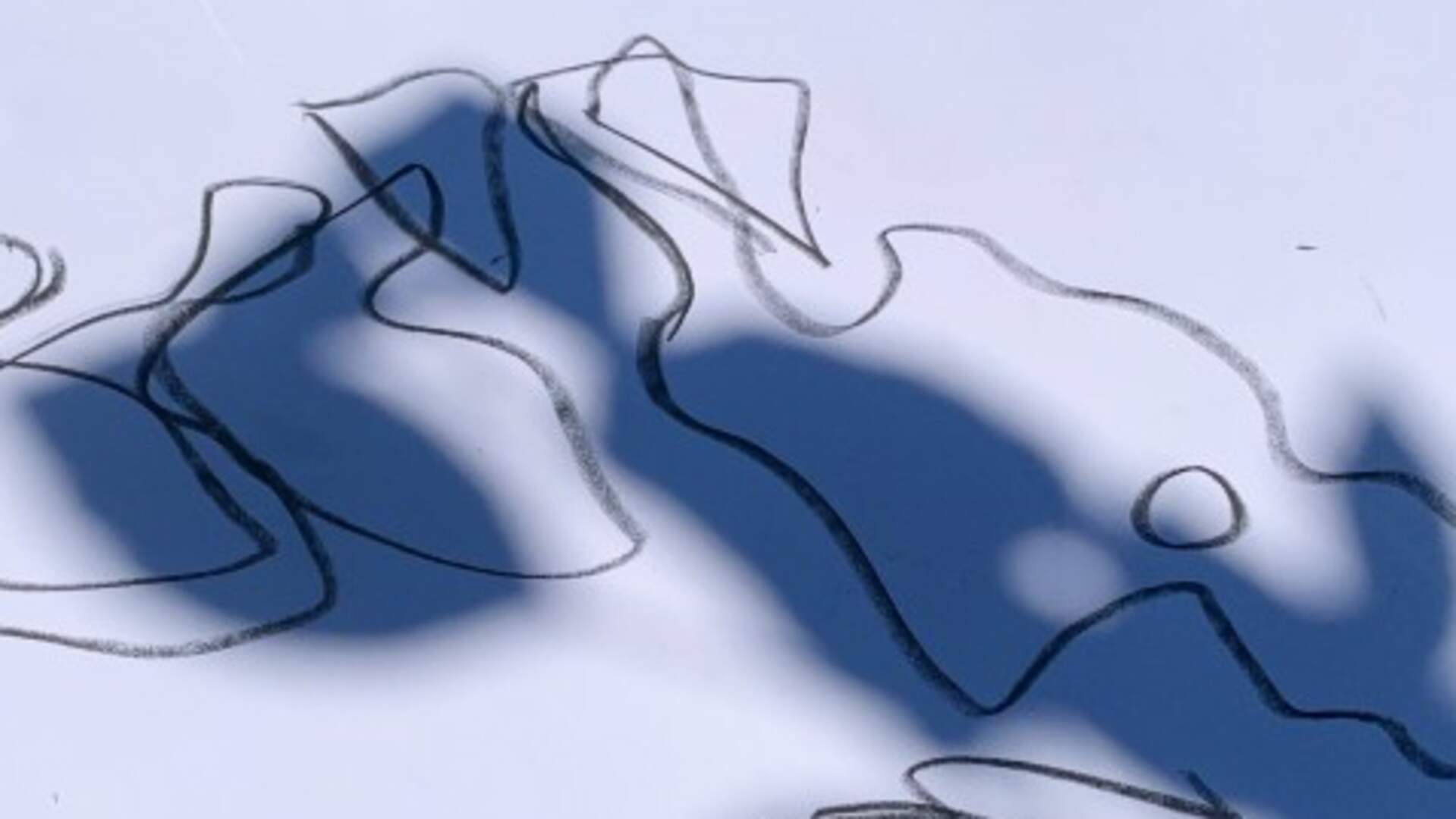 Shadow Drawing