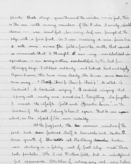 Volume 10, Page 17