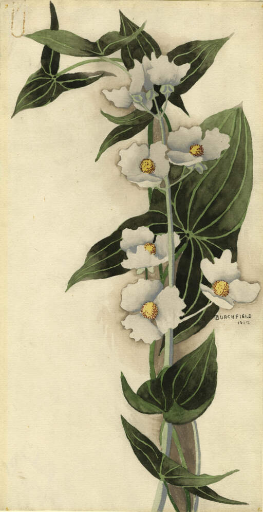 Untitled (Arrowhead)