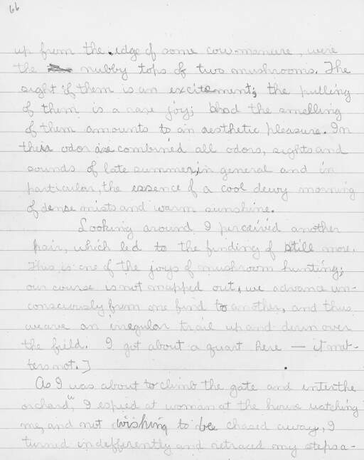 Volume XII, Page 66